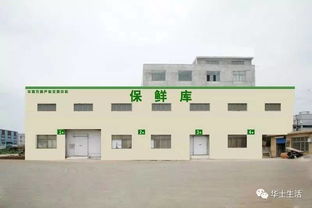 萬眾期待，終于等到你——華西農副產品交易中心水果區9月18日盛大開業