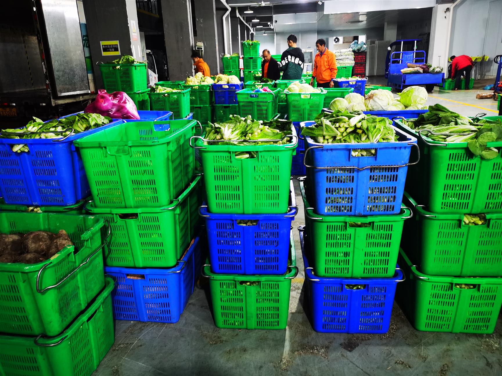 虎門鎮農副產品配送 按需供應，高效便捷的蔬菜批發服務