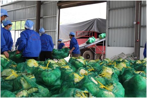 千里迢迢援滬情 云南漾濞縣42噸農(nóng)副產(chǎn)品抵奉賢