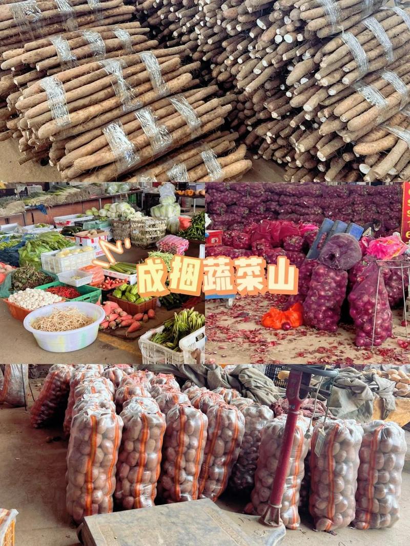 成都市民的“菜籃子”與“果盤子”——探訪沙西農副產品批發市場